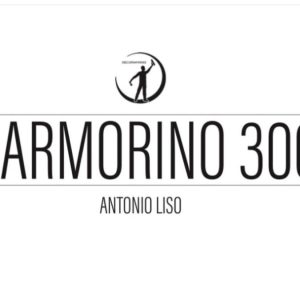 Marmorino 300